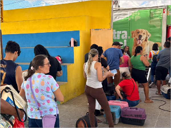 Prefeitura de Independência realiza 2º Mutirão de Castração de Cães e Gatos par [...]